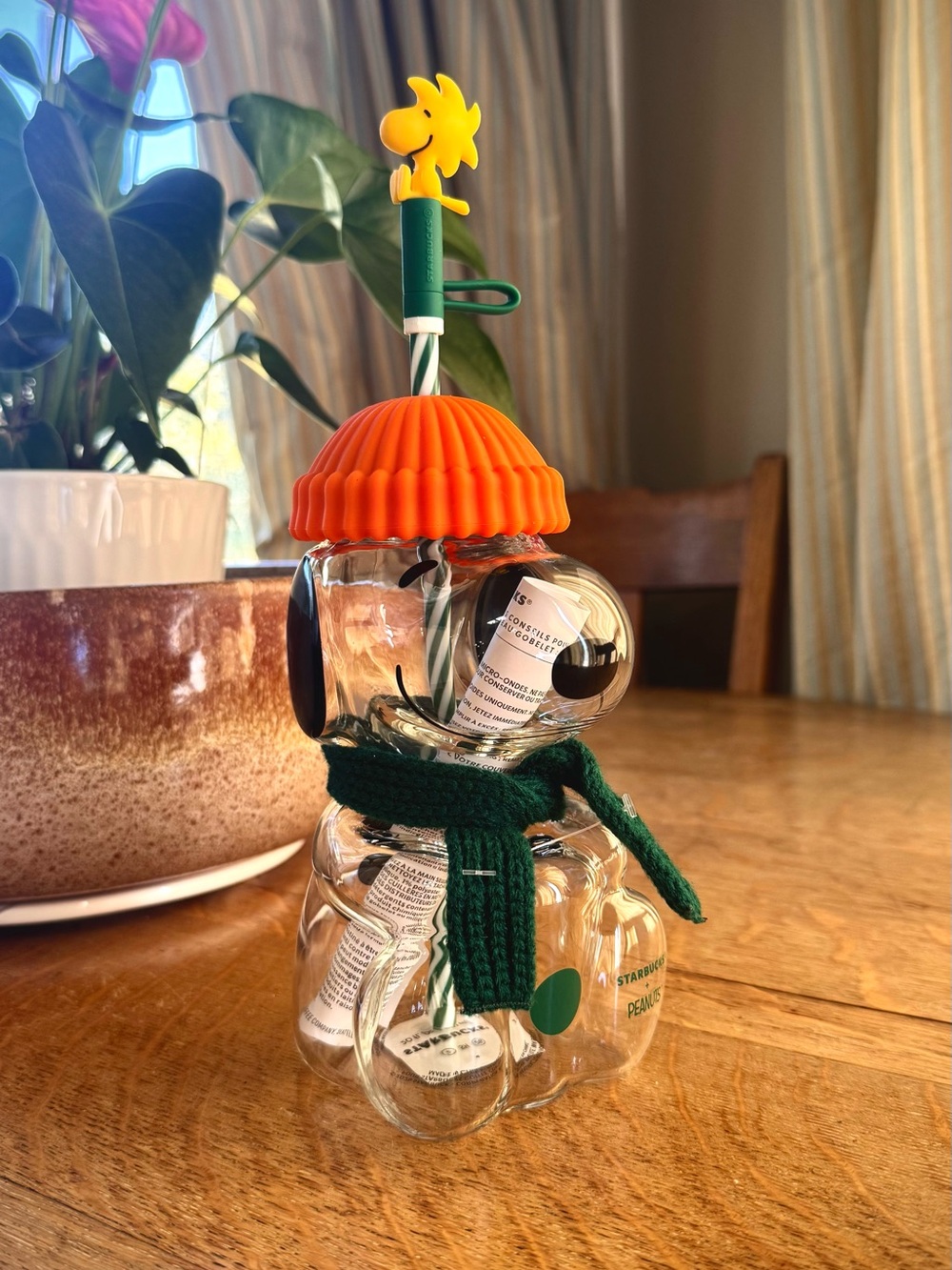 Starbucks glass snoopy cup
